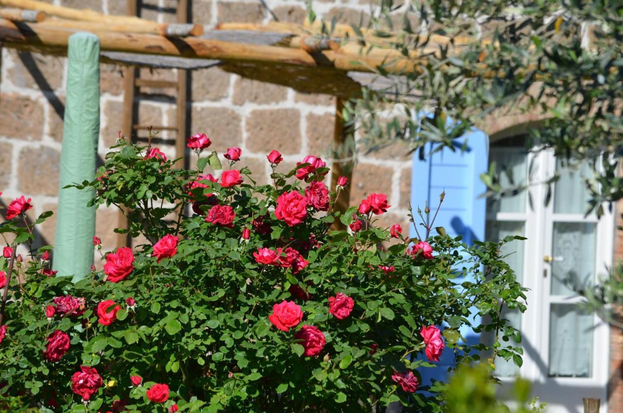 Podere Delle Rose Torre San Severo Exteriör bild
