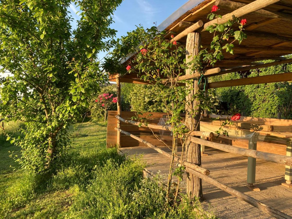 Podere Delle Rose Torre San Severo Exteriör bild