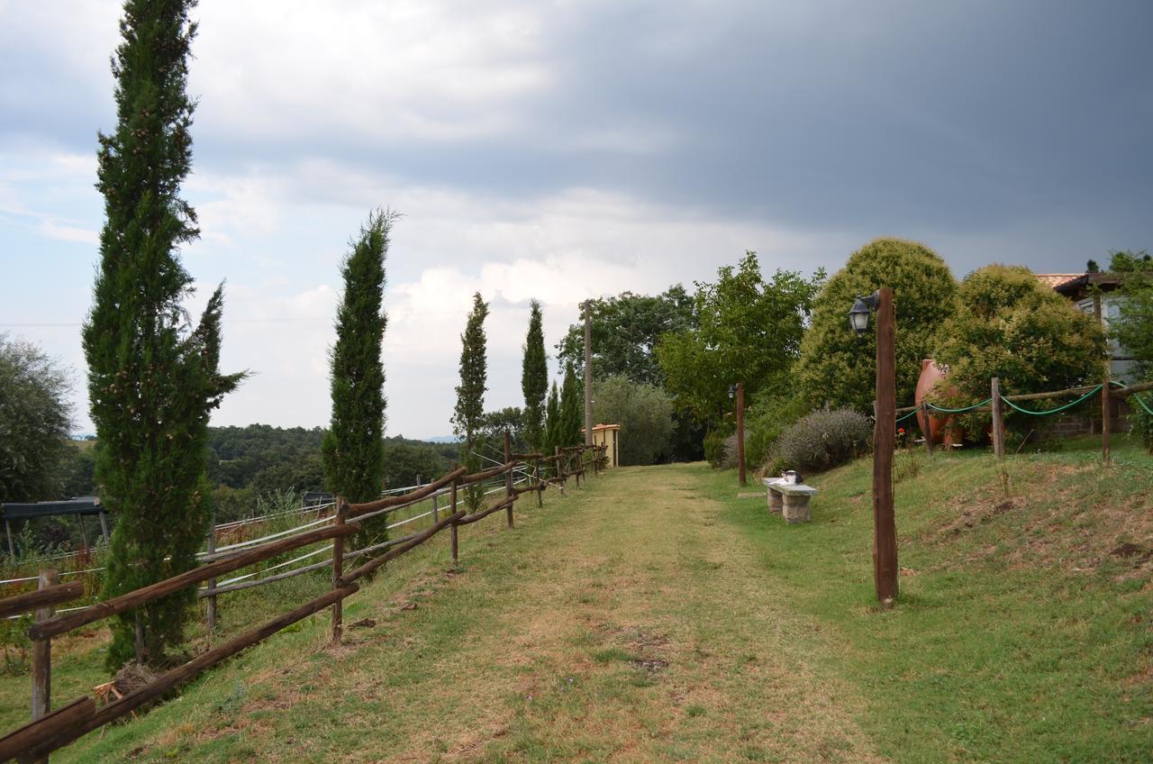 Podere Delle Rose Torre San Severo Exteriör bild