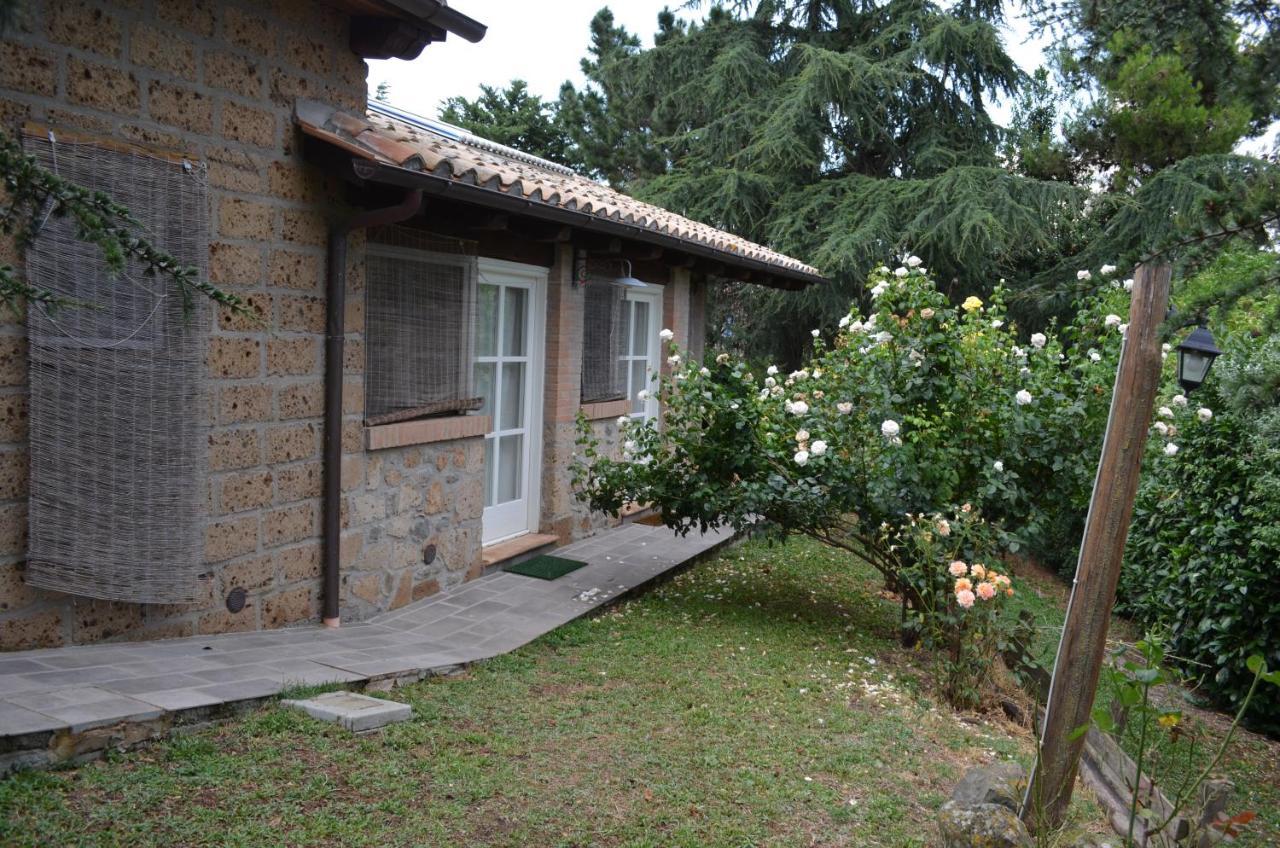 Podere Delle Rose Torre San Severo Exteriör bild